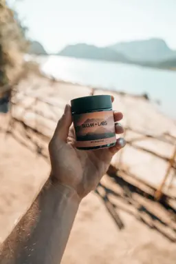 an aerial view of a city and a body of water