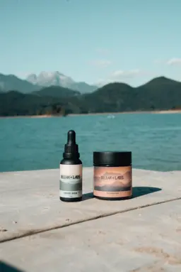 an aerial view of a city and a body of water